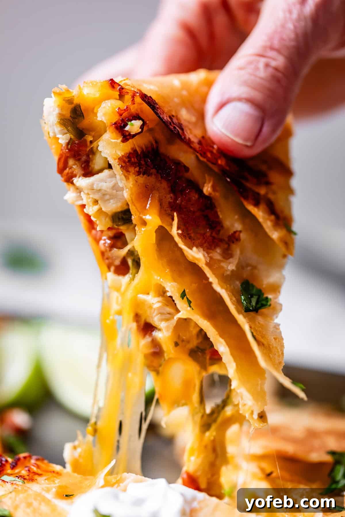 Crispy Sheet Pan Chicken Quesadillas 20 A close-up of a hand pulling a cheesy quesadilla slice, with melted cheese stretching and bits of vegetables and herbs visible inside.