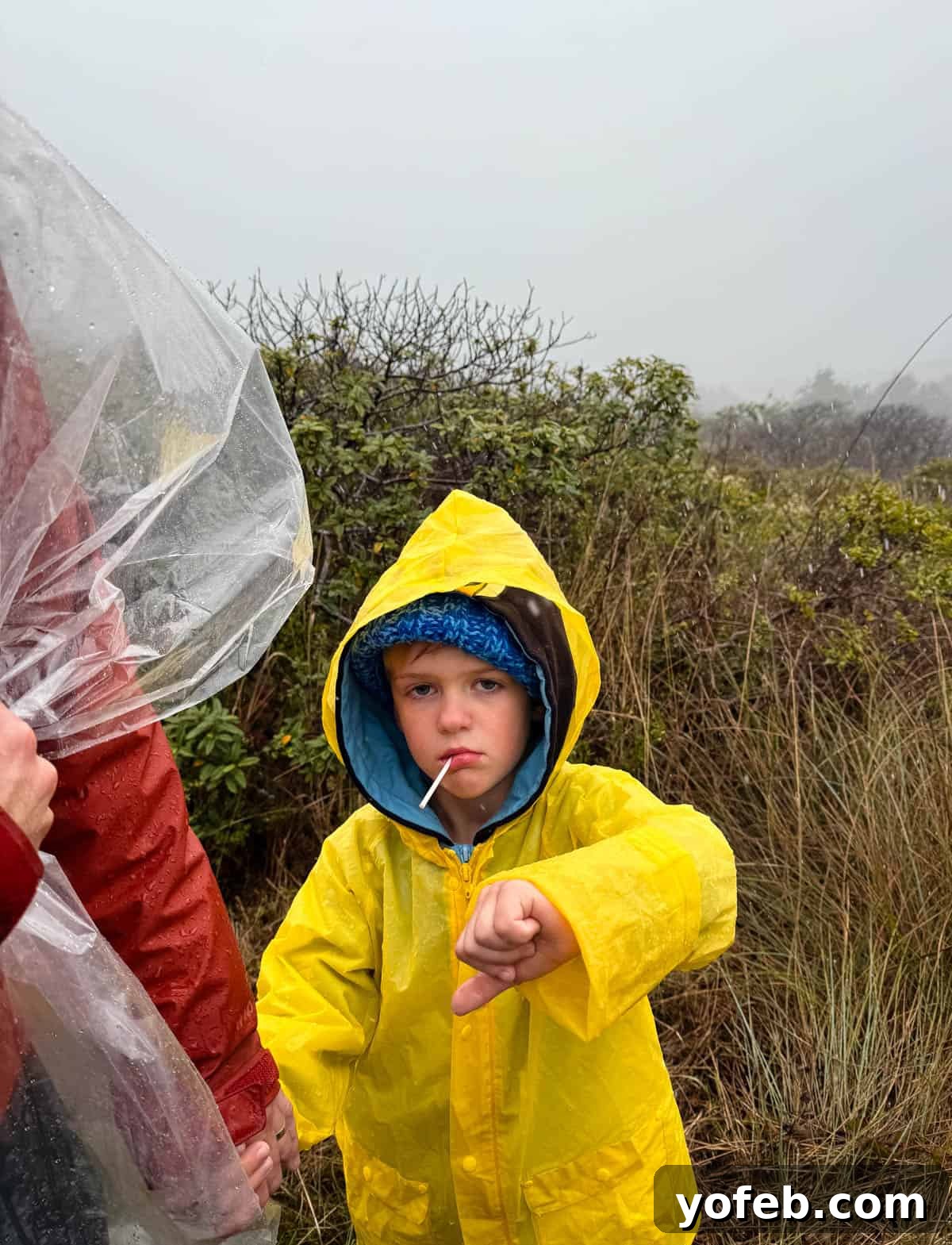 Crispy Sheet Pan Chicken Quesadillas 3 A young child in a yellow raincoat stands outdoors on a foggy day, holding a lollipop and giving a thumbs-down. Bushes and tall grass are in the background.