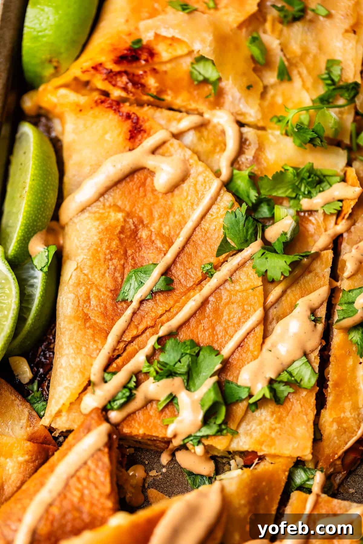 Crispy Sheet Pan Chicken Quesadillas 4 Close-up of golden, crispy quesadillas cut into triangles, drizzled with creamy sauce, garnished with fresh cilantro, and served with lime wedges.