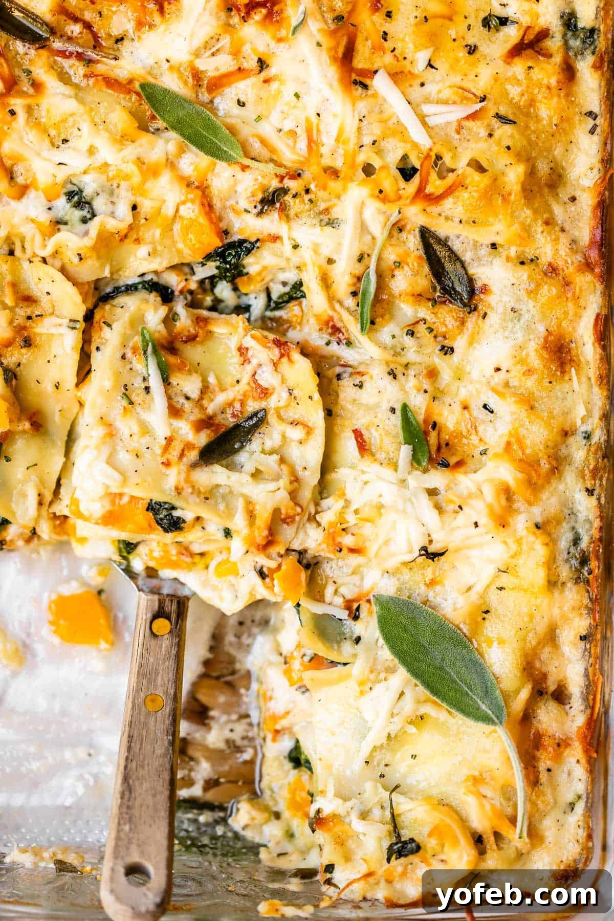 Creamy Golden Butternut Lasagna 25 A close-up of cheesy baked ravioli with spinach and herbs in a casserole dish, with a serving spatula scooping out a portion. Fresh sage leaves are visible on top.