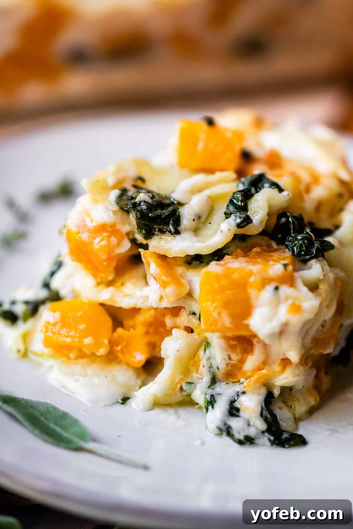 Creamy Golden Butternut Lasagna 27 A close-up of a serving of creamy butternut squash and spinach lasagna on a white plate, showing layers of pasta, orange squash, wilted spinach, and melted cheese.
