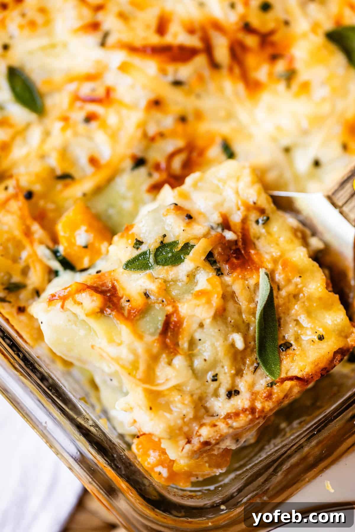 Creamy Golden Butternut Lasagna 28 A close-up of a golden-brown cheesy casserole slice being lifted from a glass baking dish, topped with fresh herbs and melted cheese.