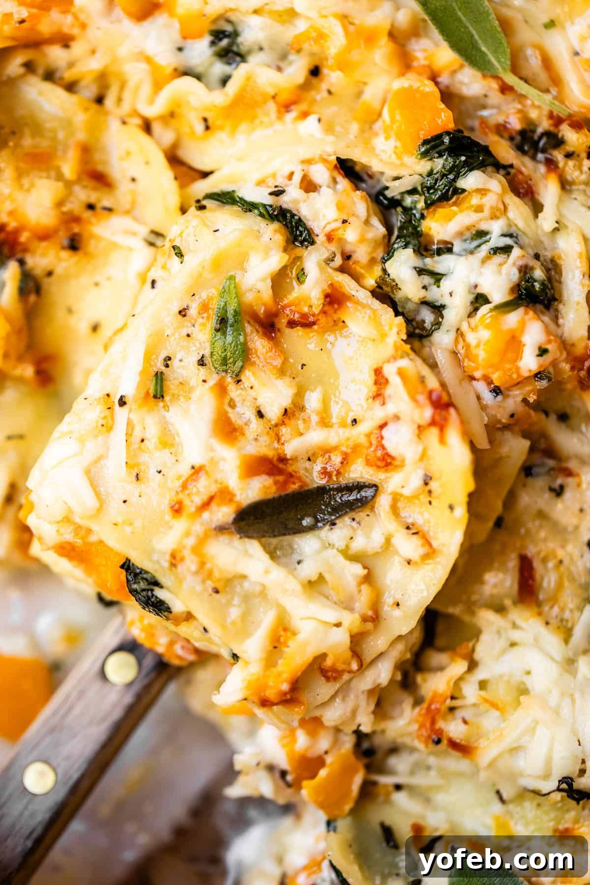 Creamy Golden Butternut Lasagna 29 A close-up of a serving spoon lifting creamy, cheesy ravioli topped with melted cheese, herbs, spinach, and pieces of butternut squash.