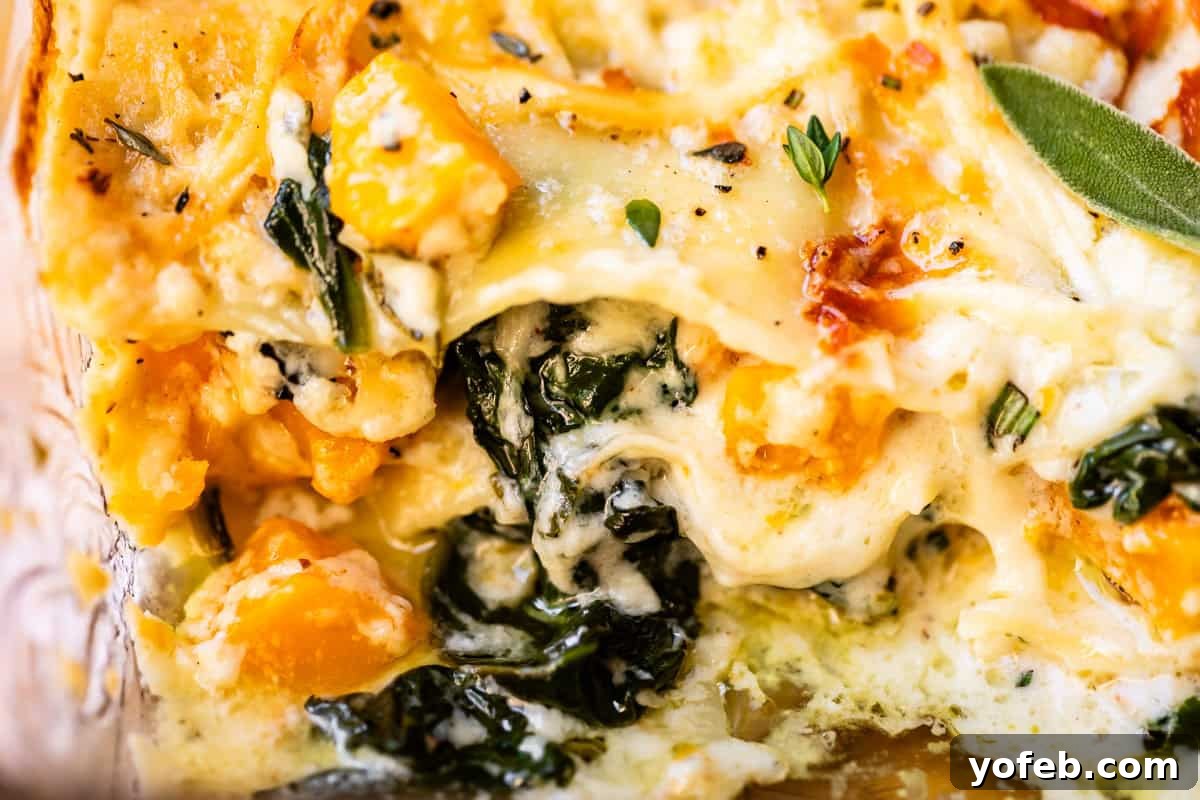 Creamy Golden Butternut Lasagna 4 Close-up of a baked lasagna with layers of melted cheese, pasta, spinach, chunks of roasted butternut squash, and fresh herbs. The textures are creamy and golden, with visible leafy greens and orange squash.
