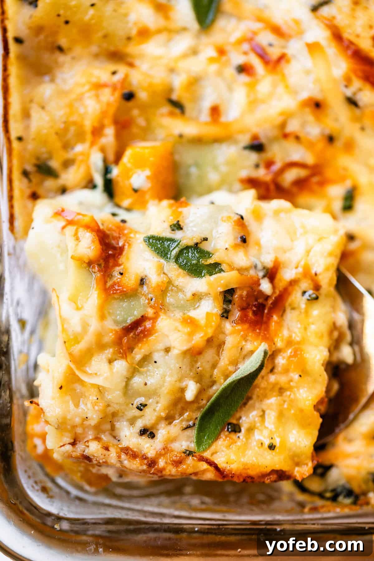 Creamy Golden Butternut Lasagna 31 A close-up of a cheesy layered casserole with golden-brown edges, melted cheese, visible herbs, and a serving being lifted out with a spatula.