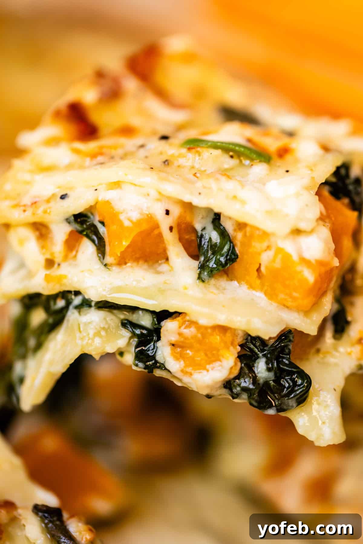 Creamy Golden Butternut Lasagna 5 Close-up of a slice of vegetable lasagna with visible layers of pasta, creamy sauce, wilted spinach, and roasted. orange squash pieces. The surface is golden and slightly browned.