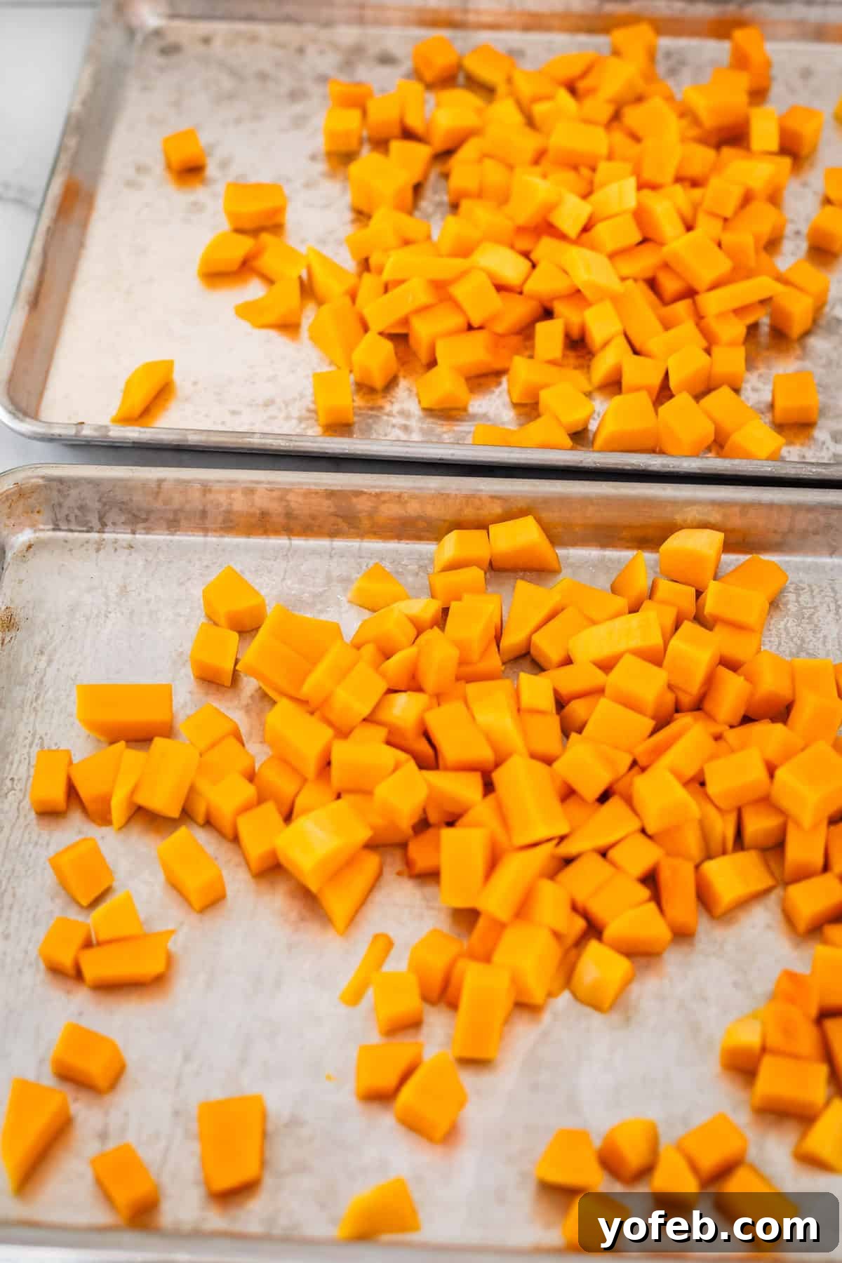Conquer Butternut Squash: A Simple Guide to Safe Slicing 16 Two clean metal baking sheets are laid out, each generously filled with a single, even layer of small, vibrant orange butternut squash cubes, meticulously spaced for optimal roasting.
