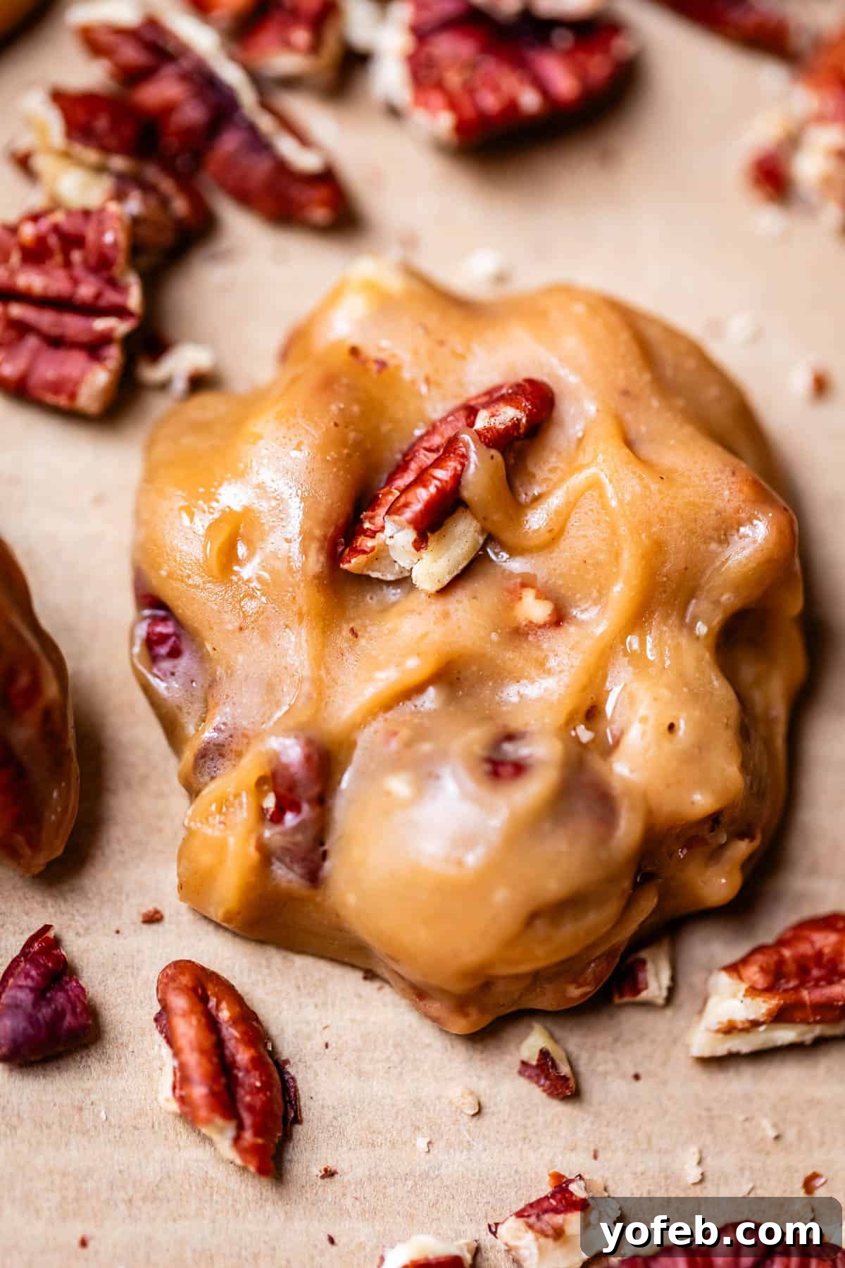 Buttery Pecan Bliss 3 A close-up of a creamy pecan praline candy with visible whole and chopped pecans, set on parchment paper with scattered pecan pieces around it.