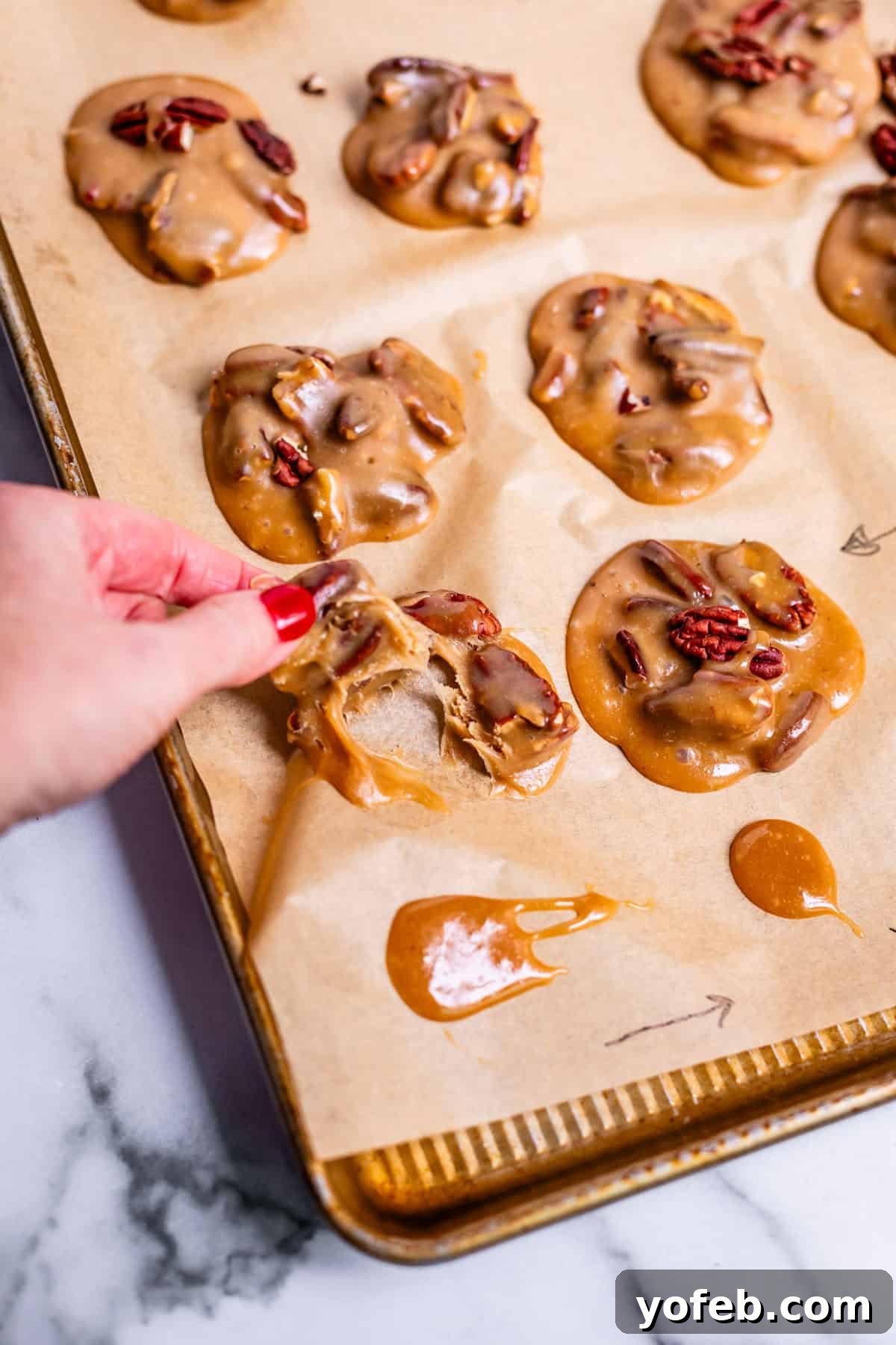 Buttery Pecan Bliss 21 A hand lifts a pecan praline cookie from a baking sheet lined with parchment paper. Several other pralines with glossy, caramel coating and pecan pieces are visible on the sheet.