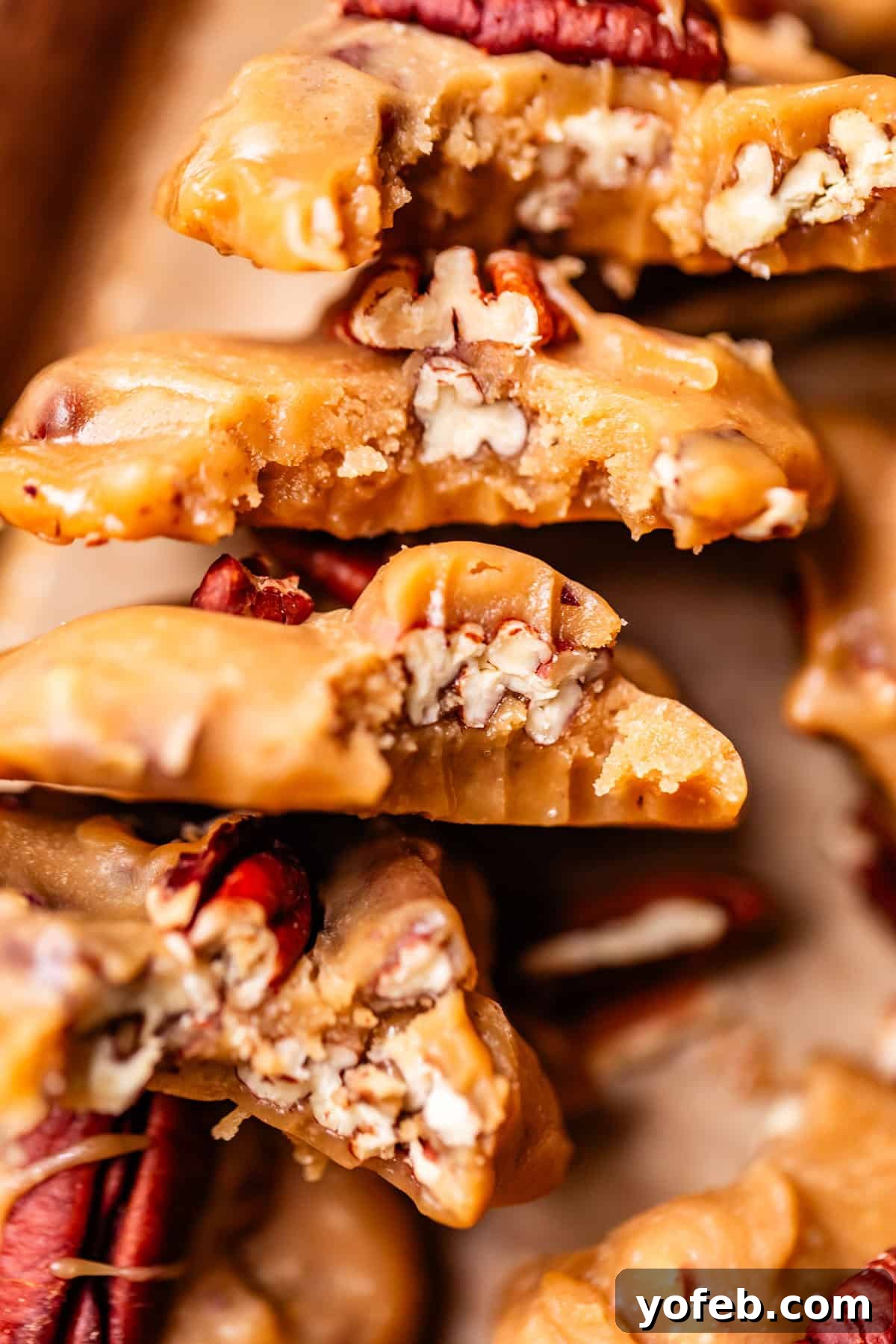 Buttery Pecan Bliss 23 Close-up of stacked pecan pralines, showing their creamy, golden-brown candy texture and crunchy pecan pieces embedded inside.
