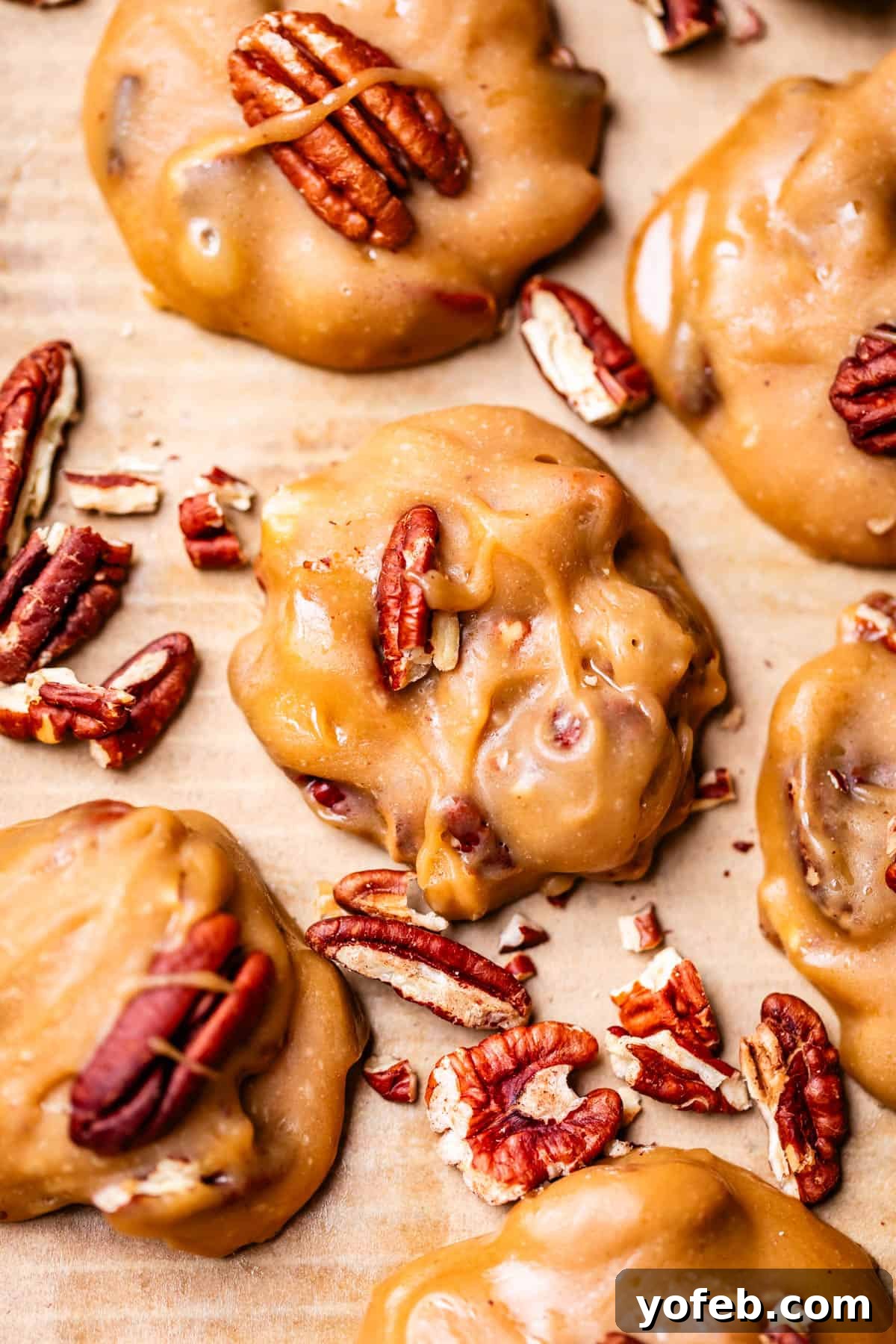 Buttery Pecan Bliss 24 Close-up of creamy praline cookies topped and surrounded by whole and chopped pecans, displayed on parchment paper. The cookies have a glossy, caramel-like texture.