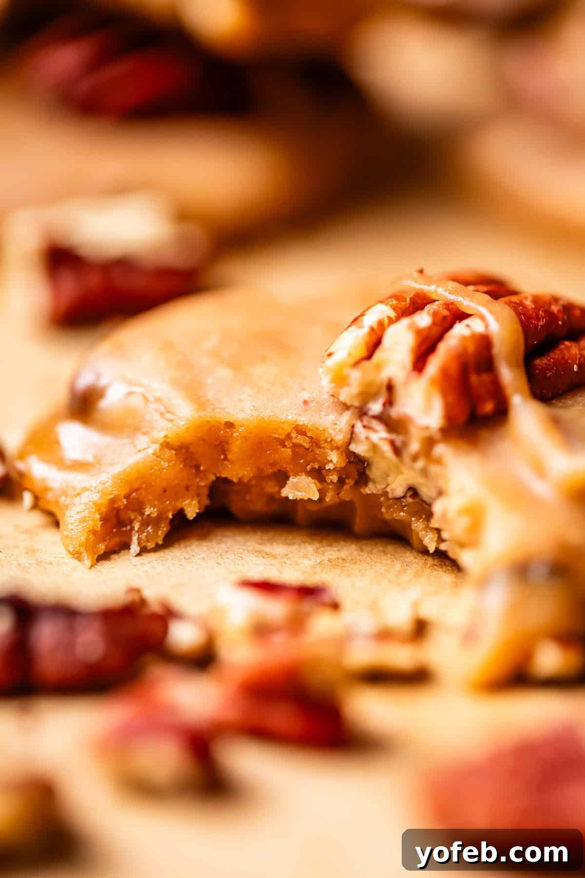 Buttery Pecan Bliss 25 A close-up of a praline cookie topped with pecans, with a bite taken out, showing its soft interior. Crumbled pecan pieces are scattered around on a light-colored surface.