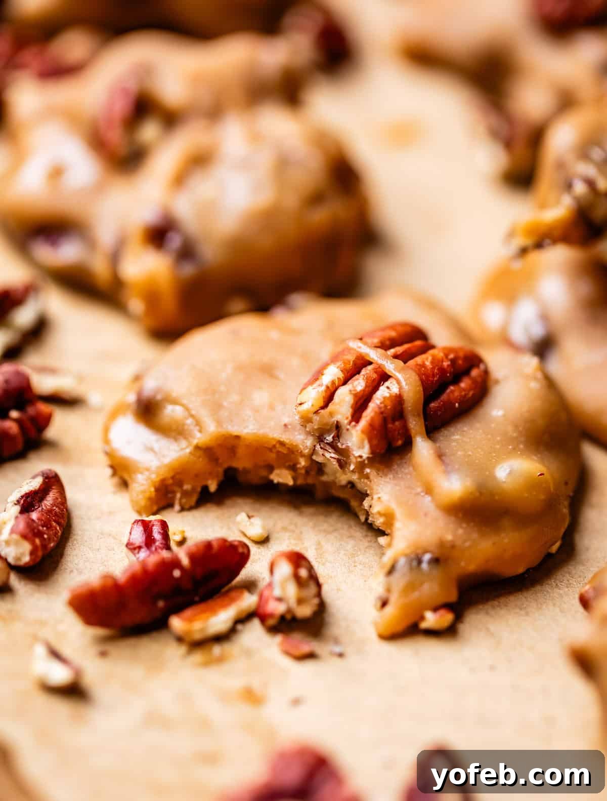 Buttery Pecan Bliss 4 A close-up of pecan pralines on parchment paper, with one praline missing a bite. Whole and chopped pecans are scattered around the creamy, caramel-colored candies.