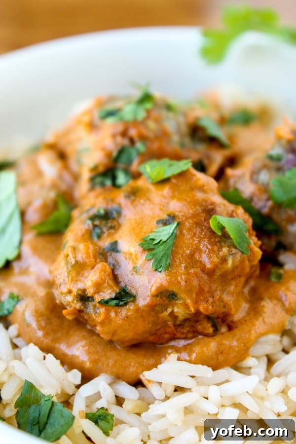 Chicken Tikka Masala Meatballs, beautifully plated with sauce, cilantro, and served with rice.