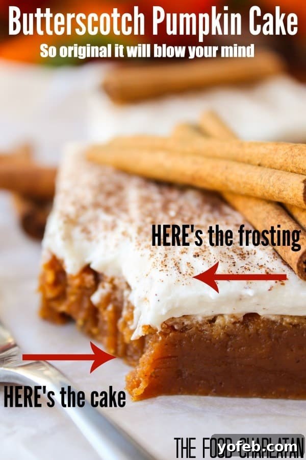 Another enticing photo of the Butterscotch Pumpkin Cake, emphasizing its rich texture and ample frosting