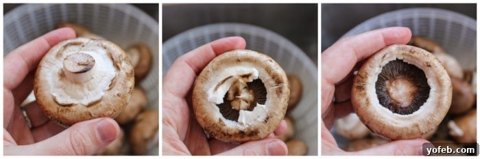 Close-up of a mushroom after the stem has been removed, highlighting the cavity for stuffing.