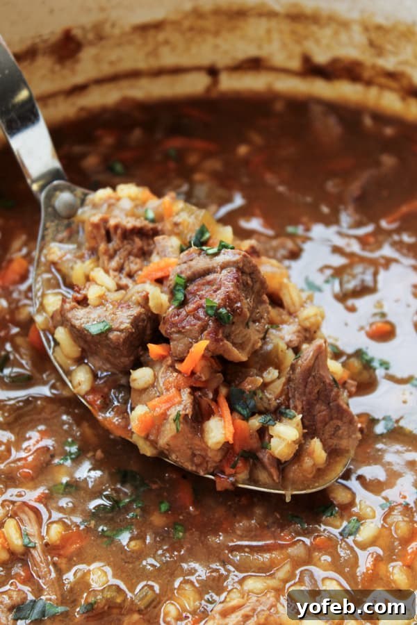 Beef Barley Soup (Slow Cooker) from The Food Charlatan. This soup is lovingly simmered on the stove or in the crock pot to produce the richest Beef Barley Soup recipe I've ever tasted. Shredded carrots and potatoes give it a fabulous, thick texture. #beef #soup #barley #crockpot #slowcooker #vegetable #healthy A ladle lifting a generous portion of Beef Barley Soup from a slow cooker, showing the thick, rich texture.