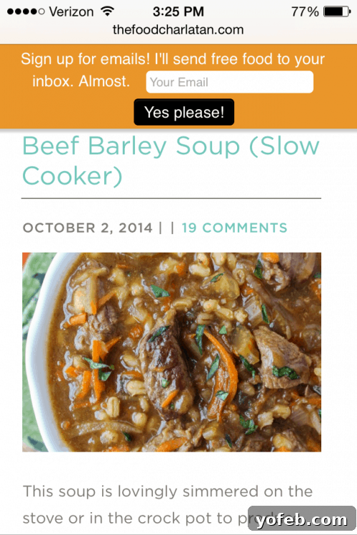 The Food Charlatan's Exciting Blog Redesign 5 The Food Charlatan's Mobile-Friendly Design on a Smartphone