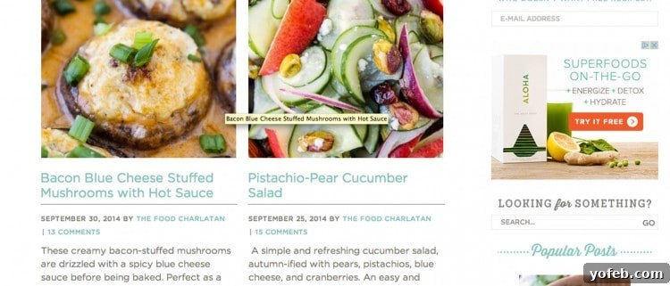 The Food Charlatan's Exciting Blog Redesign 6 The Food Charlatan's New Homepage Layout with Teaser Posts