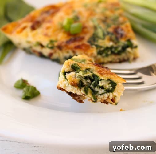 Savory Spinach and Bacon Frittata 8 Bite of spinach and bacon frittata on fork