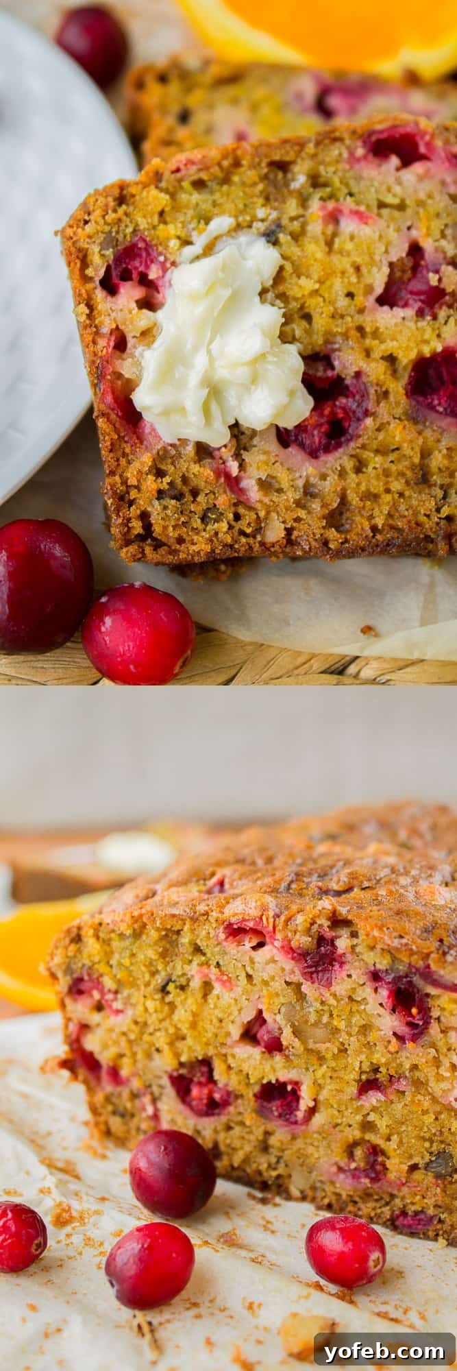 Zesty Cranberry Orange Walnut Loaf 2 Fresh Cranberry Orange Walnut Bread loaf, ready to be sliced