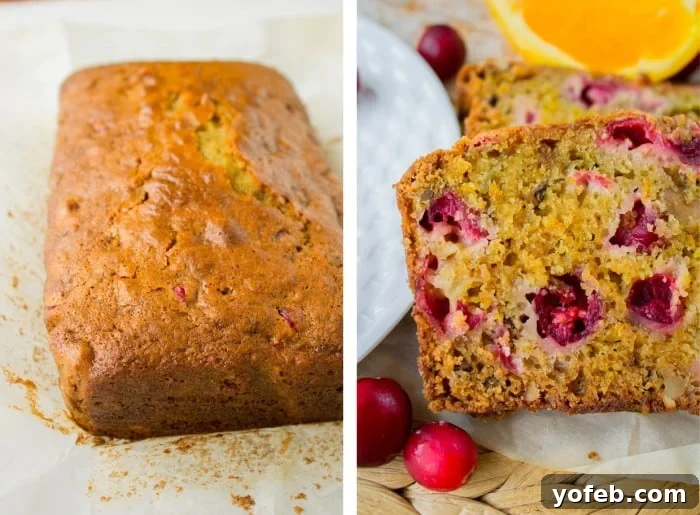Zesty Cranberry Orange Walnut Loaf 11 Full loaf of Cranberry Orange Walnut Bread on a cooling rack