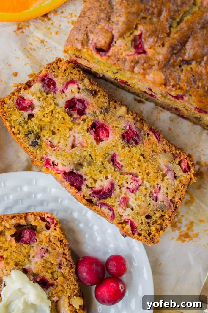 Zesty Cranberry Orange Walnut Loaf 12 Cranberry Orange Walnut Bread slice with a scattering of cranberries