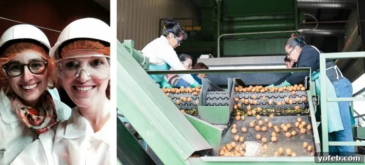 Zesty Cranberry Orange Walnut Loaf 9 Bloggers in hard hats at the walnut processing plant