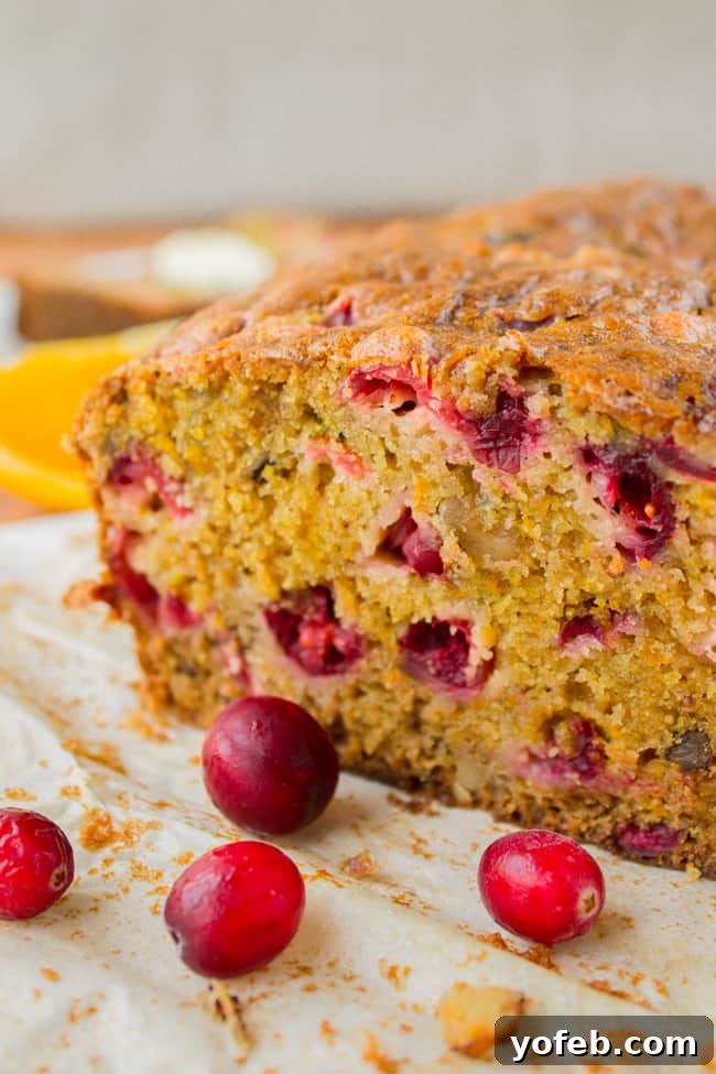 Zesty Cranberry Orange Walnut Loaf 10 Close-up of a slice of Cranberry Orange Walnut Bread, showing texture