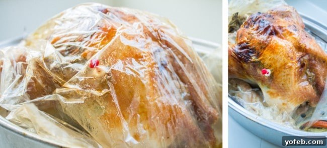 Herbal Roasted Turkey Delights 13 Close-up collage showing a turkey roasting in an oven bag, with a pop-up thermometer indicating doneness, ensuring a perfectly cooked bird.