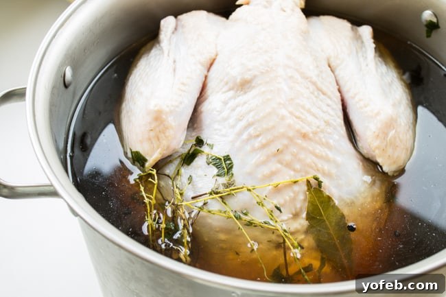Herbal Roasted Turkey Delights 8 A turkey comfortably brining in a large stockpot, soaking up the flavorful liquid.