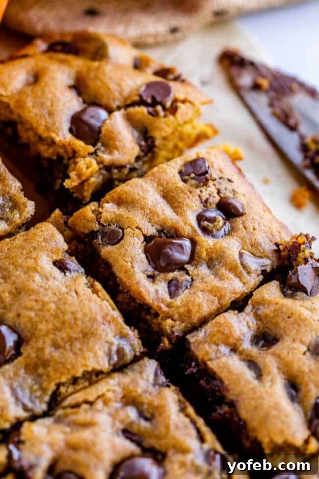 Golden Pumpkin Chocolate Chip Squares 11 Fudgy pumpkin bars, freshly baked and nestled on parchment paper, with a knife ready for precise slicing.