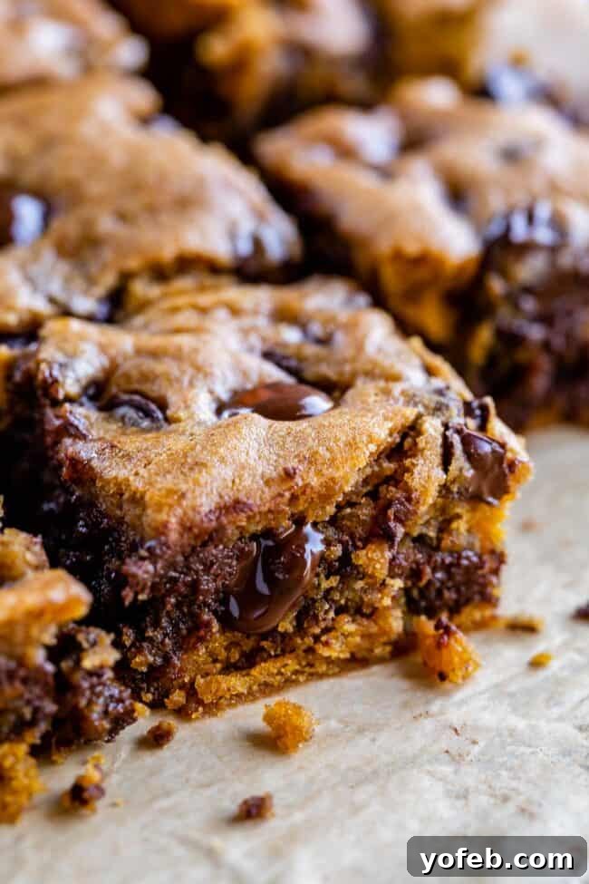 Golden Pumpkin Chocolate Chip Squares 12 A stack of rich, fudgy pumpkin chocolate bars, highlighting their appealing texture and color.