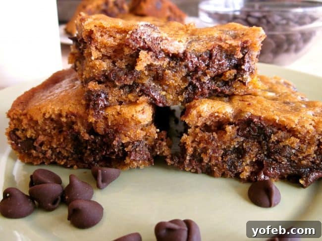 Pumpkin Chocolate Chip Bars An older, nostalgic photograph of pumpkin chocolate chip bars, showcasing the recipe's enduring appeal.