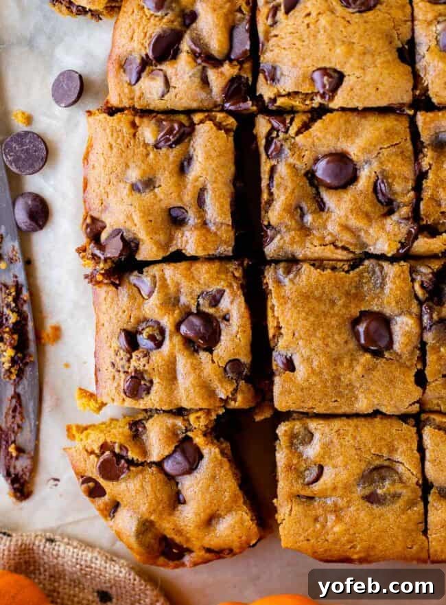 Golden Pumpkin Chocolate Chip Squares 3 Warm pumpkin chocolate chip bars arranged on a cutting board, with a knife nearby, ready for serving.