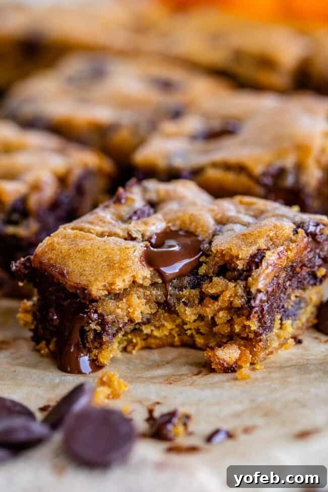 Golden Pumpkin Chocolate Chip Squares 4 A close-up of a pumpkin chocolate chip bar with a bite taken out, showing its fudgy interior and melted chocolate.