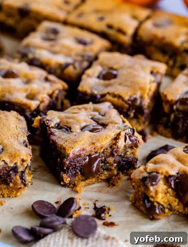 Golden Pumpkin Chocolate Chip Squares 5 A pan of freshly baked pumpkin chocolate chip bars, perfectly sliced and showing their moist, rich texture.