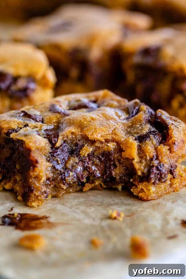 Golden Pumpkin Chocolate Chip Squares 6 A slice of pumpkin blondie with a generous amount of chocolate chips, revealing its soft and moist interior.