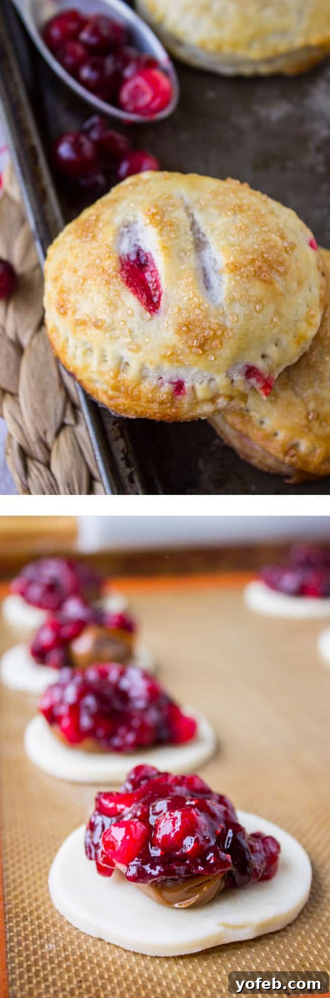 Sweet Cranberry Dulce de Leche Hand Pies 2 Cranberry Dulce de Leche Hand Pies - Pin It