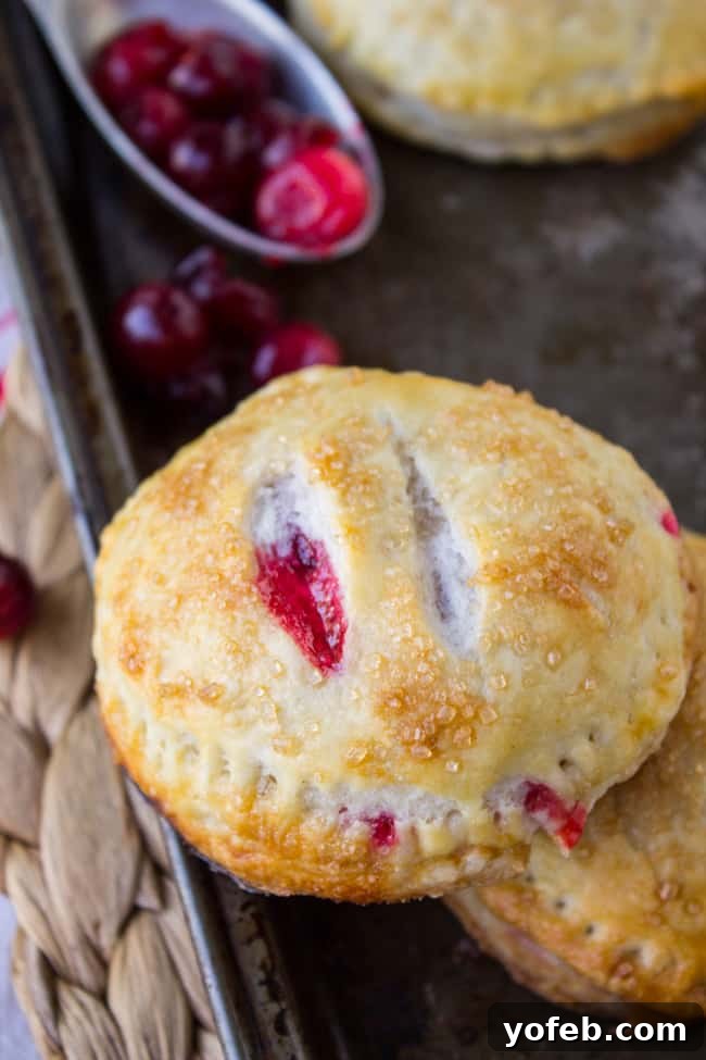 Sweet Cranberry Dulce de Leche Hand Pies 3 Flaky Cranberry Dulce de Leche Hand Pies for Thanksgiving
