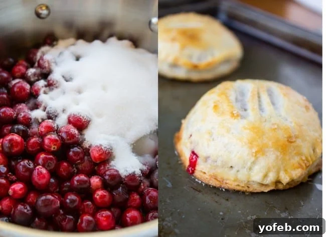 Sweet Cranberry Dulce de Leche Hand Pies 4 Fresh Cranberries for Hand Pie Filling