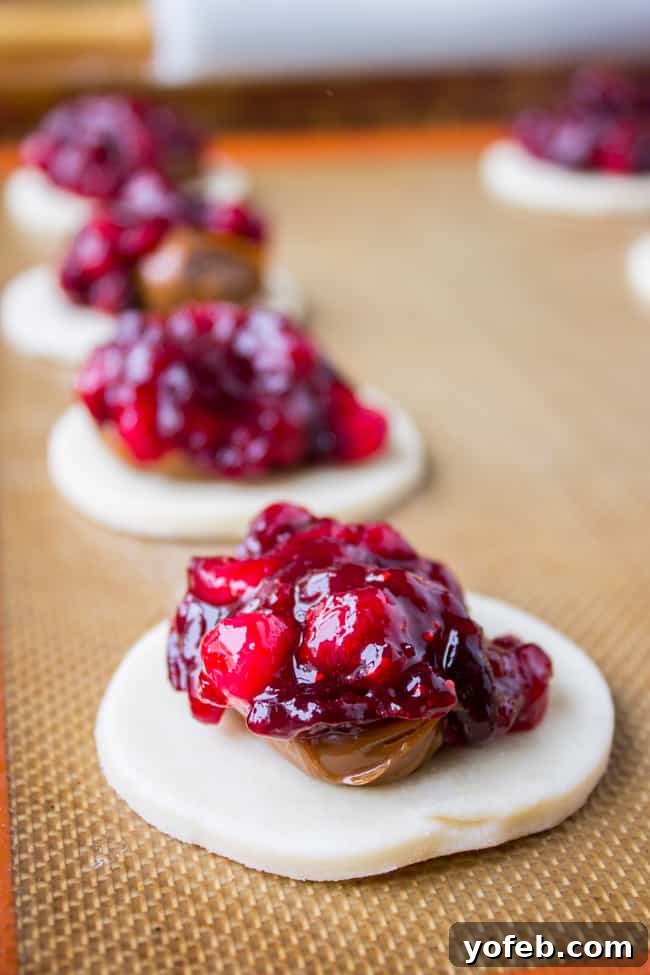 Sweet Cranberry Dulce de Leche Hand Pies 5 Golden Brown Cranberry Dulce de Leche Hand Pies
