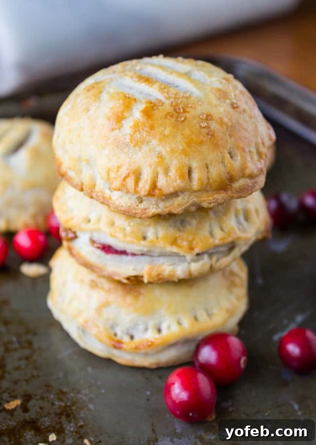 Sweet Cranberry Dulce de Leche Hand Pies 7 Delicious Cranberry Dulce de Leche Hand Pie with Filling