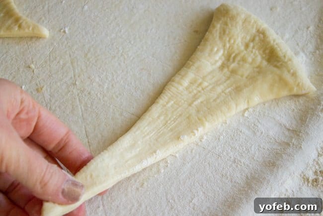 Shaping Crescent Rolls A crescent roll being shaped by hand, emphasizing the technique of stretching the narrow end for more layers.