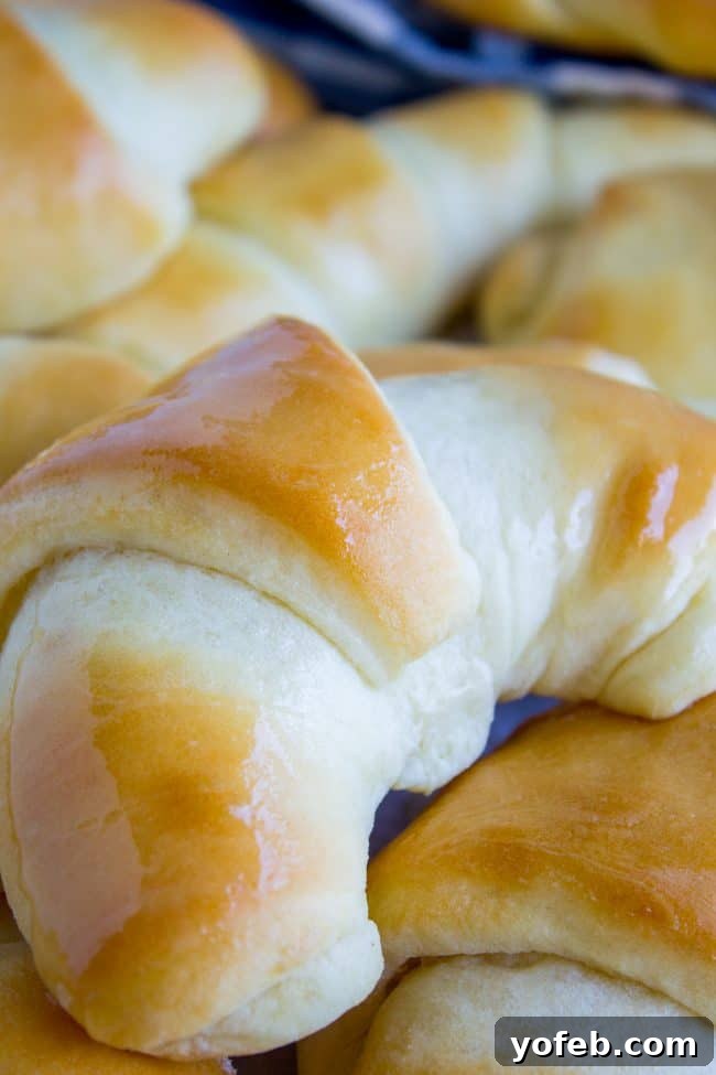 How to Make Crescent Roll Dough Dough being rolled out on a floured surface, showing the preparation stage for shaping crescent rolls.