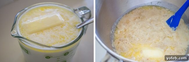 Activating Yeast for Rolls Active dry yeast blooming in warm water, showing the foamy texture that indicates yeast is alive and ready.