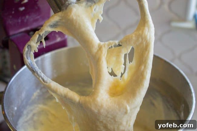Crescent Roll Dough Consistency Sticky and loose dough in a mixing bowl after initial mixing, indicating the correct consistency before rising.