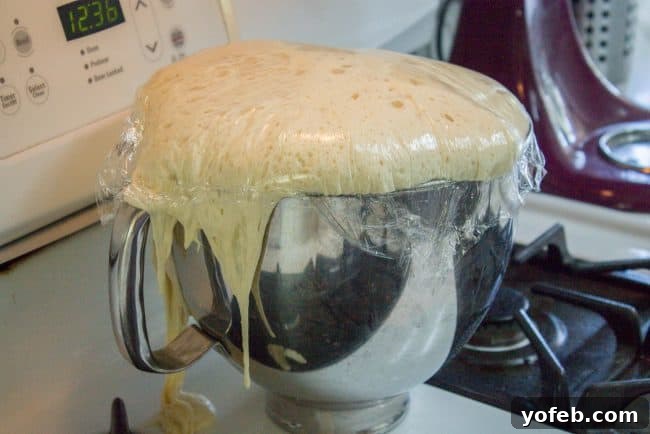 Over-risen Dough Over-risen dough overflowing from a mixing bowl, illustrating the consequence of leaving dough unattended during rising.