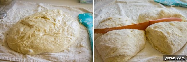 Bulk Dough for Crescent Rolls A large amount of risen dough ready for shaping, demonstrating the quantity produced by the recipe.