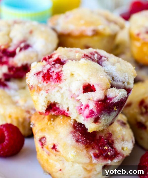 The Food Charlatan's 2014 Recipe Hall of Fame: Our Top 5 3 Bright and zesty Raspberry Lemon Muffins with a sweet glaze, a top recipe from The Food Charlatan.